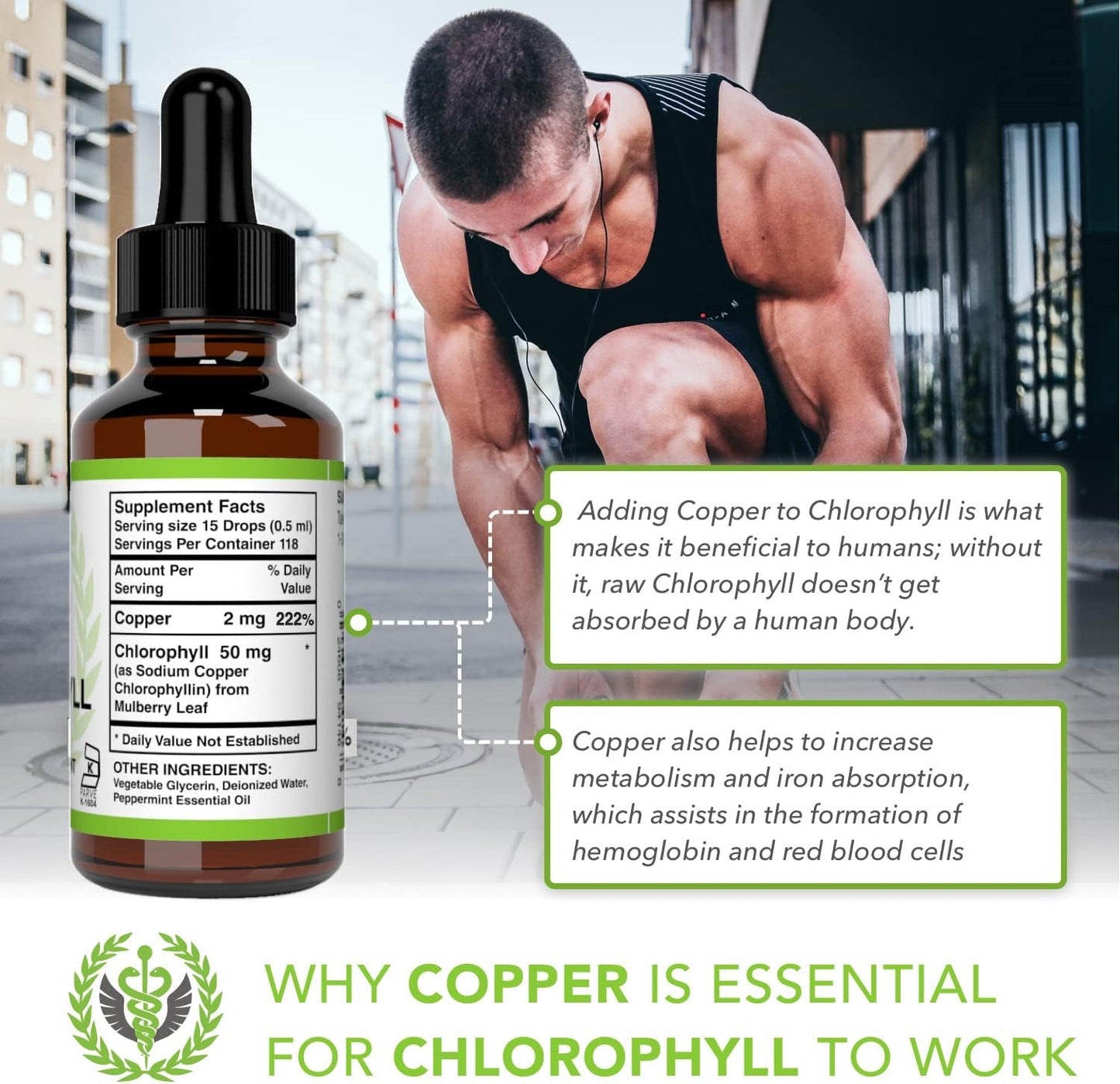 Benevolent Chlorophyll Liquid Drops – Organic Detox & Immune Support, Internal Deodorizer & Skin Health Supplement, Non-GMO, 4 Month Supply, Natural Mint Flavor